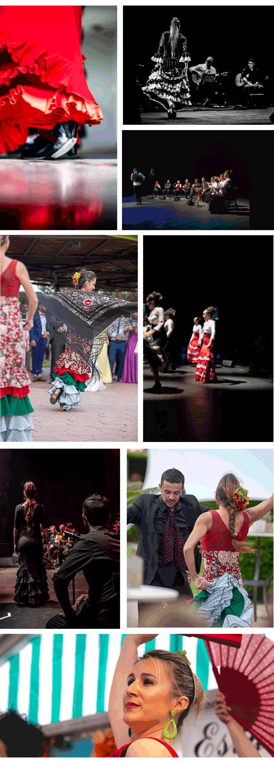 Quienes somos cia alborea